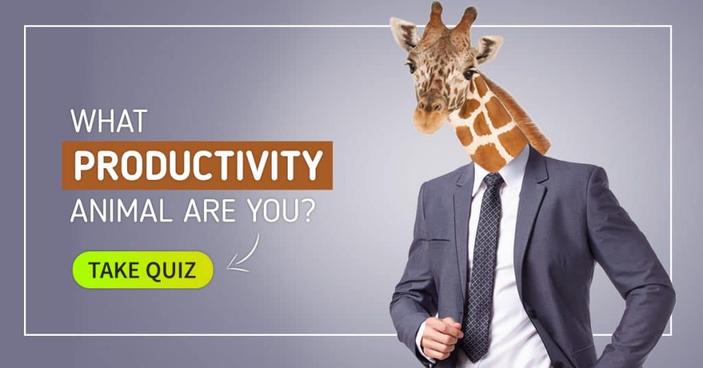 productivity animal quiz